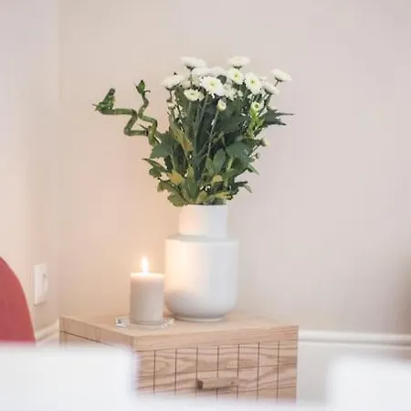 Apartment Classy Flat At Marques Square With Garden Porto